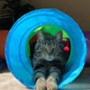 Meet your Posher, Nick